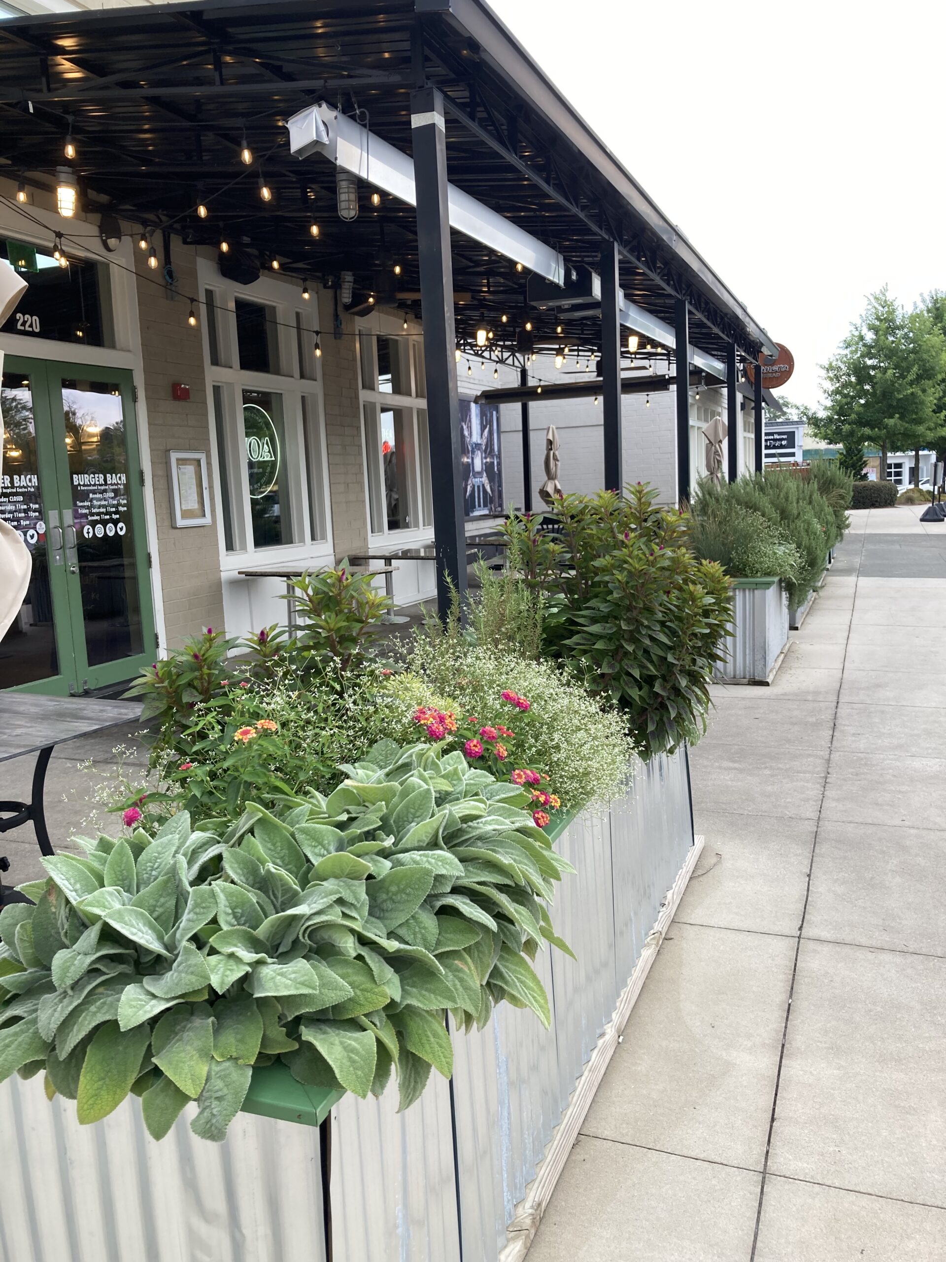 Container Plant Design